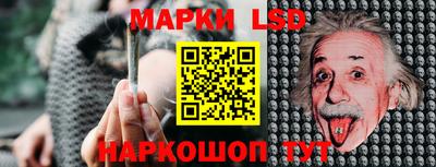 стафф Братск