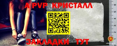 стафф Братск