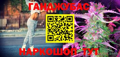стафф Братск