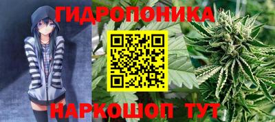 бошки Брянск
