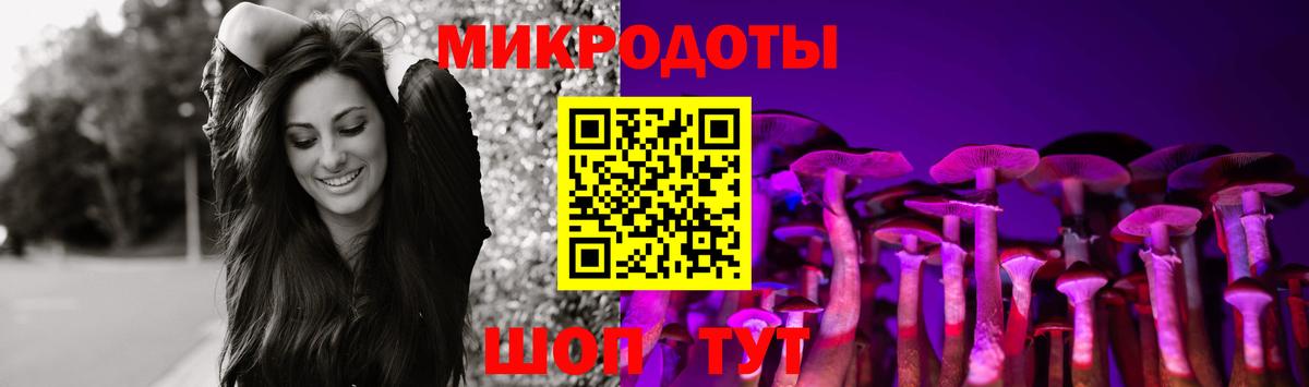 Назрань  Псилоцибиновые грибы мухоморы  Вход с VPN  Галлюциногенные грибы мицелий 